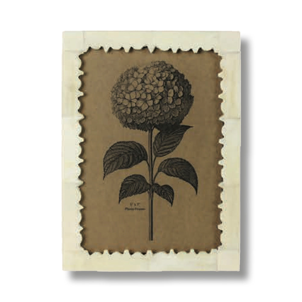 Bone with Brass Grid Frame