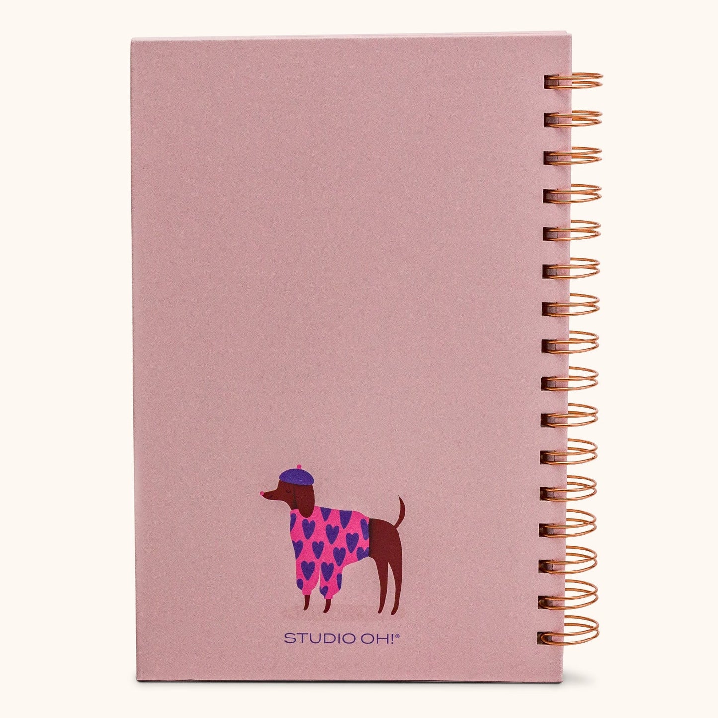 Bonjour Mes Amis - Medium Spiral Notebook
